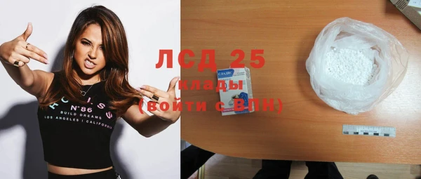 PSILOCYBIN Покров