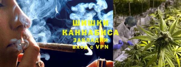 PSILOCYBIN Покров